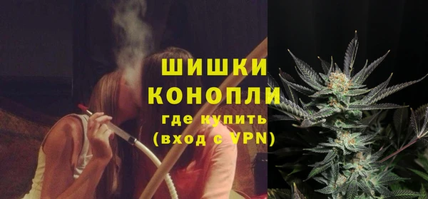 крисы Корсаков