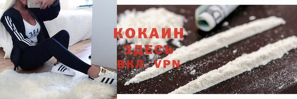 ПСИЛОЦИБИНОВЫЕ ГРИБЫ Коряжма