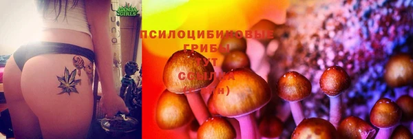spice Костерёво