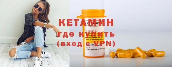 крисы Корсаков