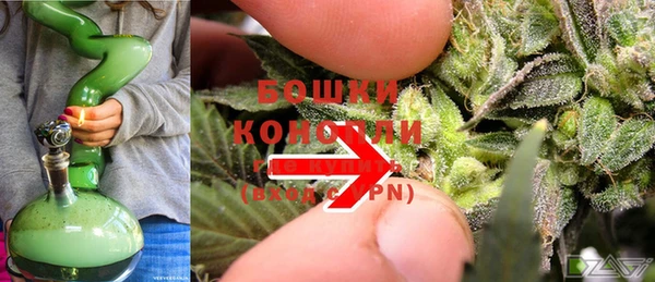 крисы Корсаков