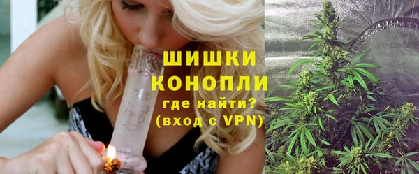 крисы Корсаков