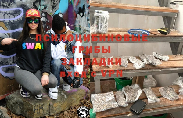 крисы Корсаков