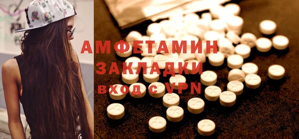 крисы Корсаков