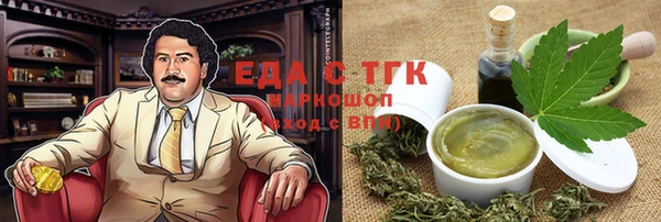 крисы Корсаков