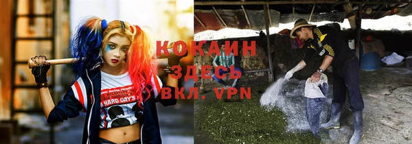 крисы Корсаков